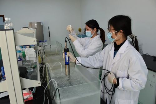 海璟水產榮獲全國水產綠色健康“五大行動”基地稱號，科技賦能引領行業變革
