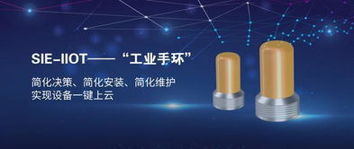 賽意信息攜工業(yè)互聯(lián)網示范線亮相工業(yè)互聯(lián)網峰會，以數(shù)字化力量助推中國智造升級轉型